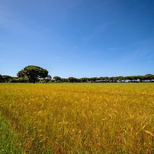 Agriturismo Bio Femminella